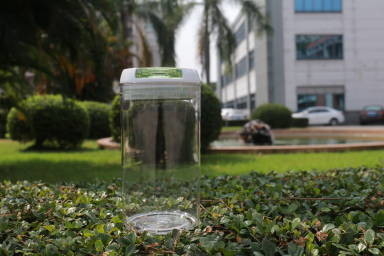 УПРАВЛЕНИЕ ПО САНИТАРНОМУ НАДЗОРУ ЗА КАЧЕСТВОМ ПИЩЕВЫХ ПРОДУКТОВ И МЕДИКАМЕНТОВ одобрило Recyclable пластмасовый контейнер с Lockable крышкой BPA свободно